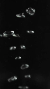 Cam duvarlı, su kaynayan bir çaydanlıkta dikey video. Geçmişi. Makro çekim