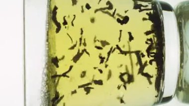 Dikey siyah çay parçacıkları cam şeffaf fincana dökülüyor ve beyaz arka planda izole edilmiş çay demlemek için kaynar suyla dolduruluyor.