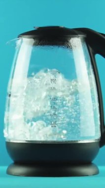 Dikey video. Şeffaf duvarları olan elektrikli su ısıtıcısı. Aktif kaynama. Mavi arkaplan