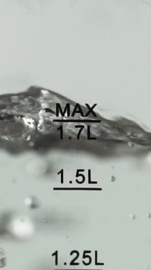 Dikey video elektrikli su ısıtıcısı, şeffaf duvarları ve ölçü ölçüsü var. Etkin kaynama.