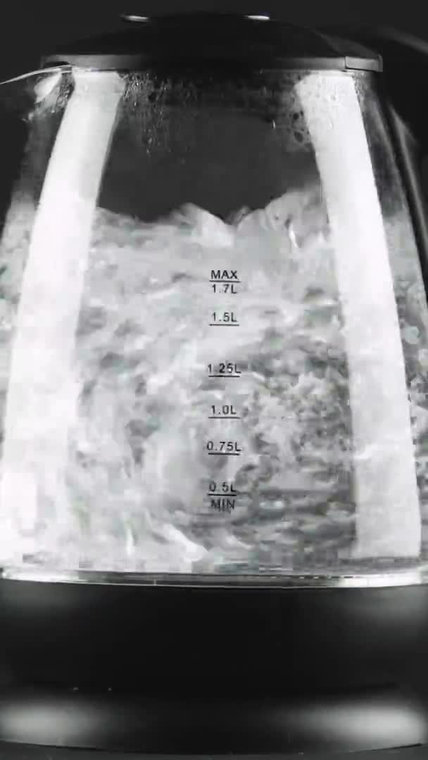 Video verticale L'acqua nel bollitore elettrico con pareti in vetro trasparente bolle. Concetto colpo — Video Stock