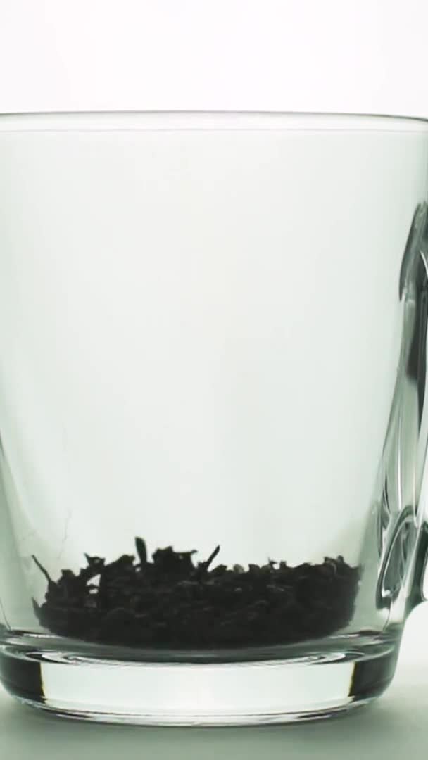 Vídeo vertical partículas de chá preto derramando em vidro caneca transparente e adicionando água fervente para preparar chá isolado no fundo branco câmera lenta fechar — Vídeo de Stock