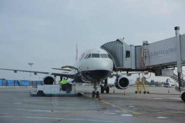 Moskova, Domodedovo 2.09.2020 - Yükleyici bavulları havaalanında uçağa yüklüyor