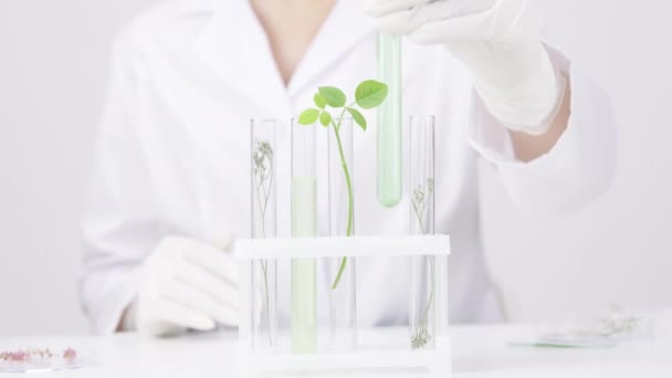 Close-up researching plant-based ingrediets in test-tubes in white laboratory — 비디오