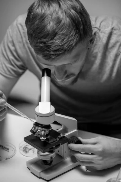 Fiatal szakállas biológus, aki mikroszkóppal vizsgálja a növények magvait — Stock Fotó