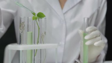Araştırmacı, test tüpüne reaktör ekleyerek yararlı bitkilerin filizlerini inceliyor.