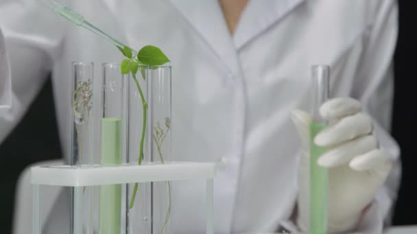 Araştırmacı, test tüpüne reaktör ekleyerek yararlı bitkilerin filizlerini inceliyor. — Stok video