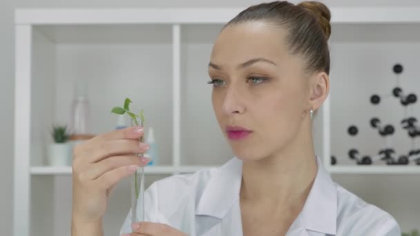 Modern Biotech Laboratory: Female Scientist Checking in Test Tube GMO plant — 비디오