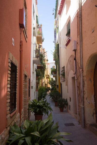 Cambrils, Spain, May 1, 2020 - cozy narrow street in old part of town with many potted plants. proper urbanism. positive mood. No people bbeautiful cityscape of historic buildings
