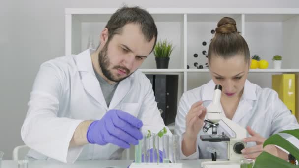 Dos científicos investigan cosméticos formulados en laboratorio, prueban ingredientes vegetales — Vídeos de Stock