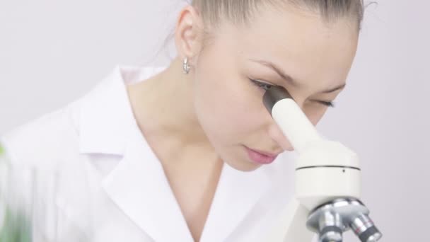 Yakın plan güzel gastroenterolog beyaz laboratuvar geçmişi üzerinde mikroskop üzerinde çalışıyor. — Stok video