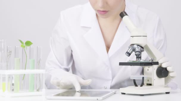 Mikrobiolog arbetar med mikroskop registrerar kliniskt bevisade resultat på tablett — Stockvideo