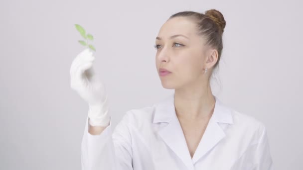 Young attractive scientist looks at plant leaf on laboratory white background — Stock Video