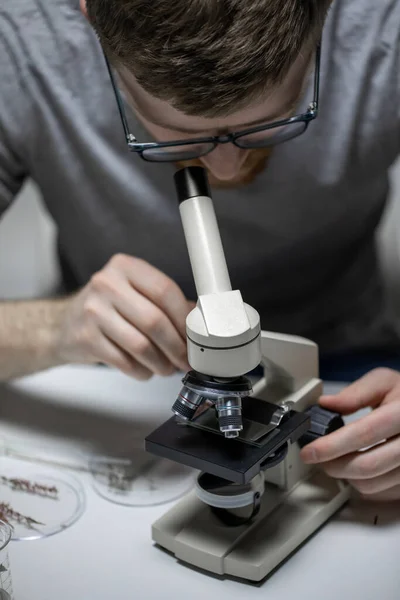 Fiatal biológus szemüvegben, mikroszkóppal vizsgálva a növények magvait — Stock Fotó