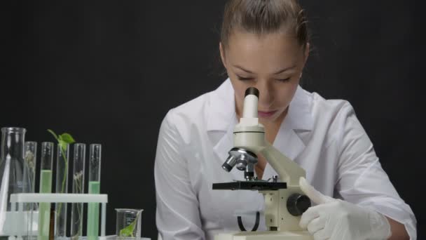 Jovem microbiologista trabalha em pesquisa, olha através de microscópio em laboratório — Vídeo de Stock
