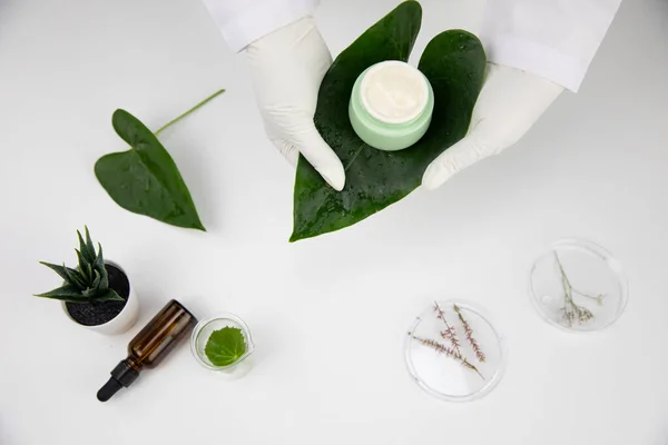 Ręce w rękawiczki trzymać kosmetyczny słoik krem na zielonym liściu na białym tle laboratorium — Zdjęcie stockowe
