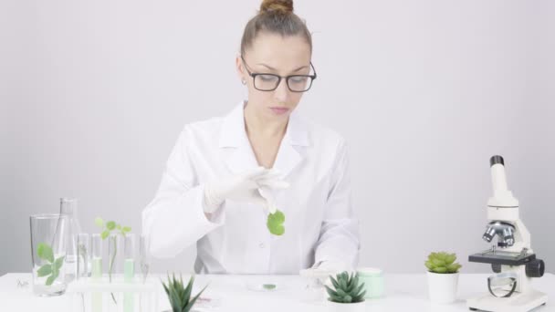 Estudiante de investigación trabaja en laboratorio de ciencias vegetales con fondo blanco — Vídeos de Stock