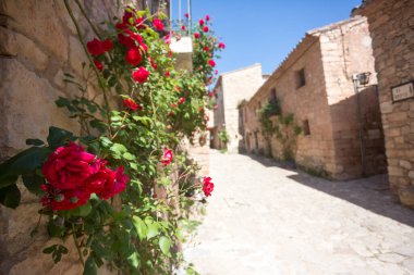 Siurana, İspanya, 1 Mayıs 2020 - Resimli ortaçağ kasabasındaki Dar Sokak