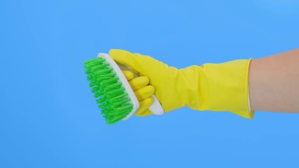 Sebuah tangan dengan sarung tangan kuning menunjukkan kuas hijau terhadap latar belakang biru, membersihkan dan menyikat karpet, menghilangkan noda dan wol dari itu dan melakukan konsep PR rutin — Stok Video