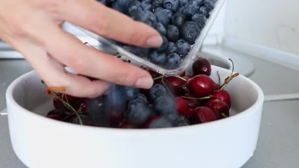 Летняя черника и сладкие вишневые ягоды подаются близко, руки положить сочные фрукты в белую керамическую миску — стоковое видео