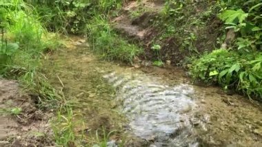 Mavi lastik çizmeli bir yürüyüşçü nehri geçer, ilkbaharda ormanda.