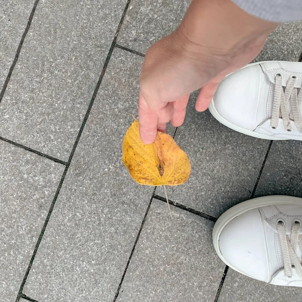 Una persona en zapatillas de espuma blanca recogiendo una hoja de otoño amarillo en un parque de la ciudad, espacio de copia —  Fotos de Stock