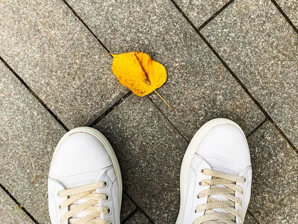 Una persona en zapatillas blancas de espuma de pie frente a una hoja de otoño amarillo en un parque de la ciudad —  Fotos de Stock