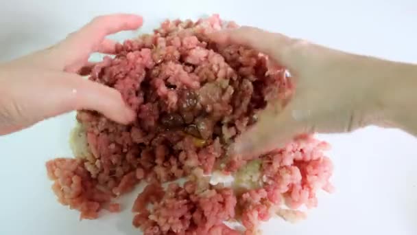 Kvinnliga händer under omrörning malet kött, lägga till rå ägg för att göra kotletter, metbollar — Stockvideo