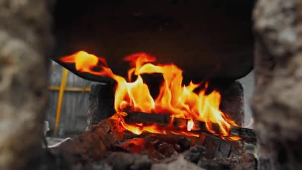 Lagerfeuer Holzstämme Einer Flamme Zelten Grillen Freien Lagerfeuer Abend Essen — Stockvideo