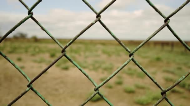 Hraniční Plot Země Oddělující Kovová Oka Ochrana Před Uprchlíky Vězeňská — Stock video