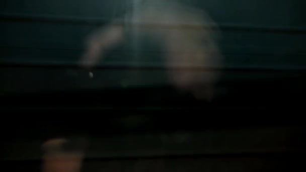 Грузовой Поезд Военными Танками Грузовой Платформе Транспортировка Боевых Машин Армейская — стоковое видео