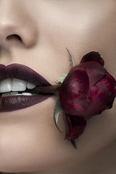 Woman holding a rose in her mouth — Stock Photo, Image