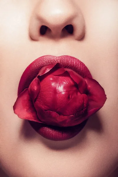 Close up mouth in red lipstick with a rose in mouth — Stock Photo, Image