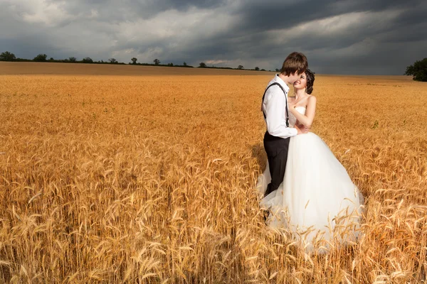 Imagem de casamento. Casado casal no campo de trigo com dramática — Fotografia de Stock