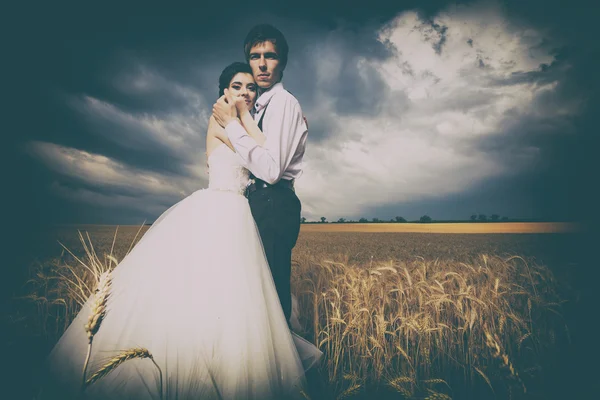 Gelin ve damat, buğday alanı ile dramamtic gökyüzü