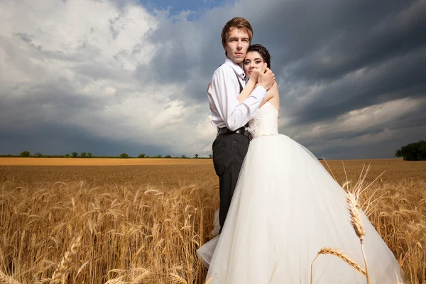 Gerade verheiratet. Braut und Bräutigam im Weizenfeld mit dramatischem Himmel — Stockfoto