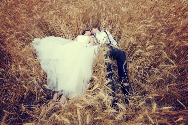 Noiva e noivo casados num campo de trigo — Fotografia de Stock