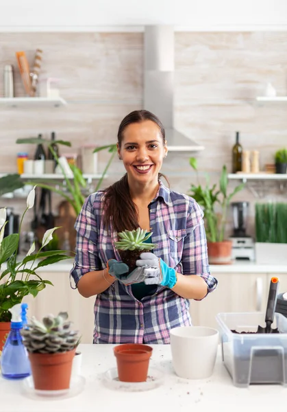 Woman replanting suculent flower — Stock Photo, Image