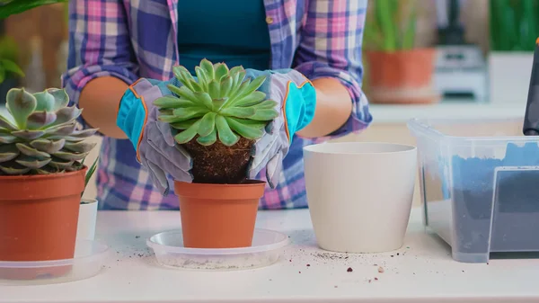 Vrouw herbeplanting bloemenhuis — Stockfoto