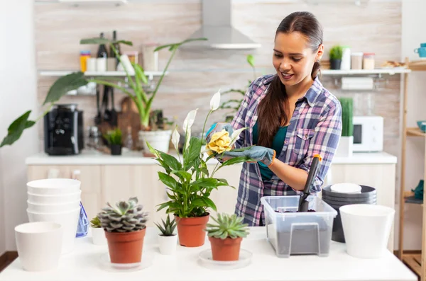 Vrouw het verzorgen van de bloemen — Stockfoto