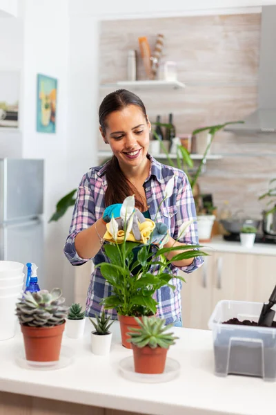 Happy woman cleaning leaves — Stock Photo, Image