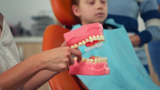 Pediatrische tandarts toont de juiste tandheelkundige hygiëne met behulp van een model van het skelet — Stockvideo
