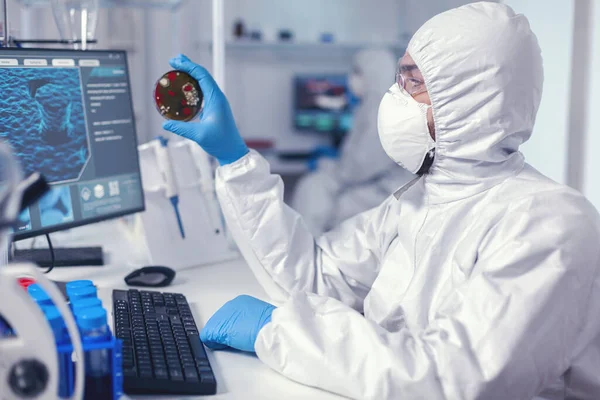 Investigador de medicina trabaja en sars-cov-2 en placas de Petri —  Fotos de Stock