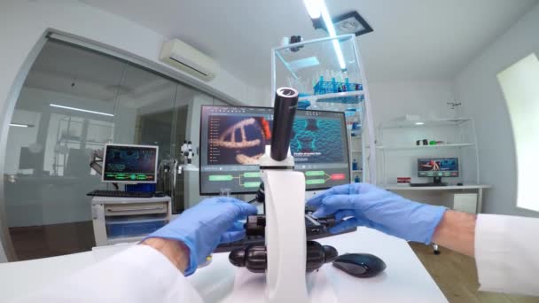 POV de scientifiques travaillant en laboratoire avec boîte de patri regardant au microscope — Video
