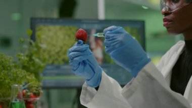 Biyolog bilim adamının çileğe DNA sıvısı enjekte ettiği yakın plan.