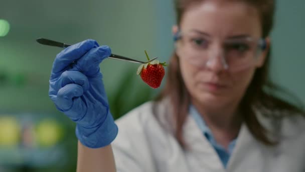 Primo piano della scienziata donna guardando fragola biologica utilizzando pinzette mediche — Video Stock