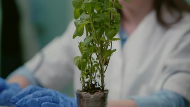 Крупним планом фармацевтичний лікар вимірює зелене садіння — стокове відео
