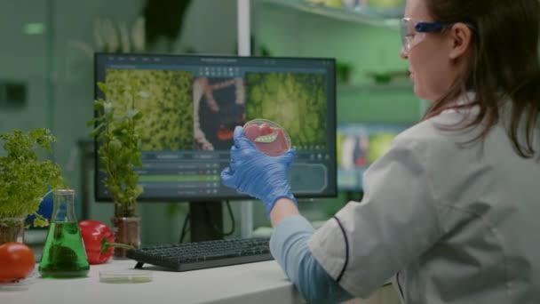 Женщина-химик анализирует мясо веганской говядины для биохимического эксперимента — стоковое видео