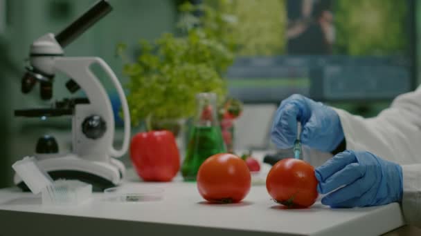 Primer plano del químico científico inyectando tomate orgánico con pesticidas — Vídeos de Stock