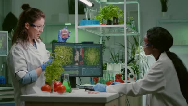 Medisch team bespreekt petrischaal met veganistisch vlees — Stockvideo